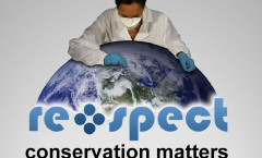 reSpect-logo